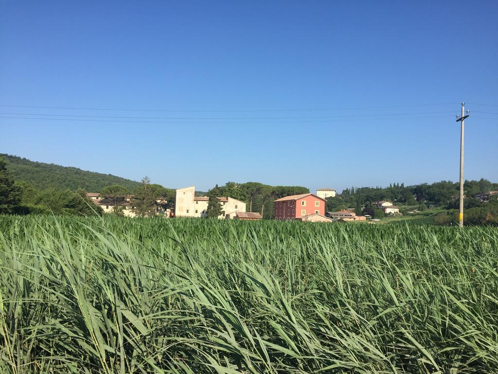 Vila Rosso Porpora Colle Umberto  Exteriér fotografie