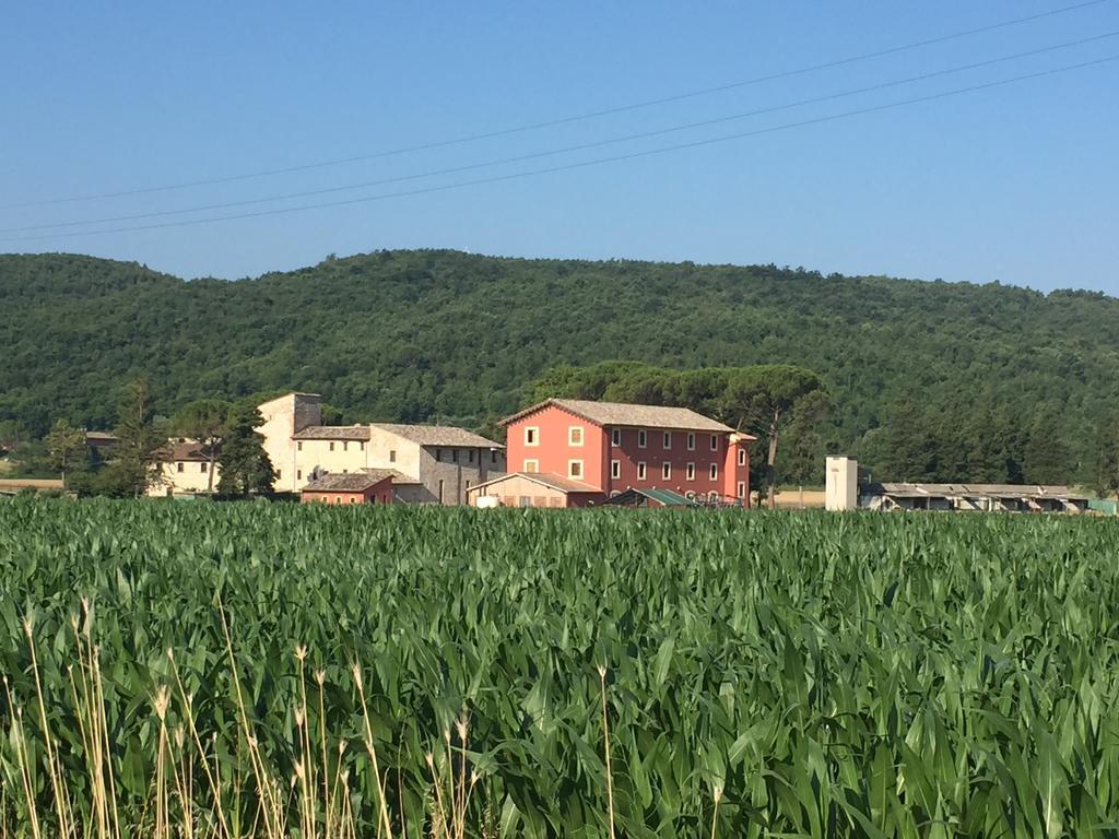 Vila Rosso Porpora Colle Umberto  Exteriér fotografie